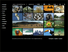 Tablet Screenshot of naturezafotos.org